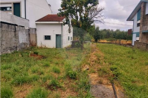 Helårsgrund i Maia, Porto, Maia - € 160.000 | Ref: 120781536-13 - foto 8