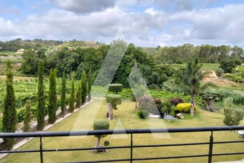 Farm i Moncao, Viana do Castelo, Moncao - € 1.200.000 | Ref: 1350215/25VC - foto 19