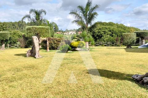 Farm i Moncao, Viana do Castelo, Moncao - € 1.200.000 | Ref: 1350215/25VC - foto 29