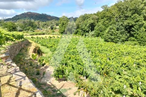 Farm i Moncao, Viana do Castelo, Moncao - € 1.200.000 | Ref: 1350215/25VC - foto 32