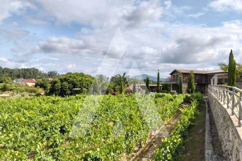 Farm i Moncao, Viana do Castelo, Moncao - € 1.200.000 | Ref: 1350215/25VC - foto 34