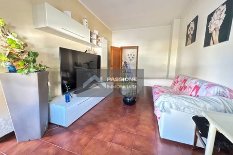 Lejlighed i Alba Adriatica, Teramo, Alba Adriatica - € 130.000 | Ref: 274 - foto 3
