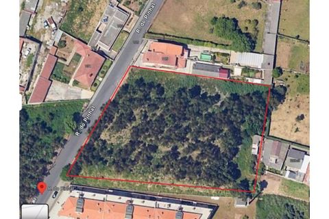 Helårsgrund i Pedroso, Porto, Pedroso - € 1.060.000 | Ref: TER_39_24502 - foto 1