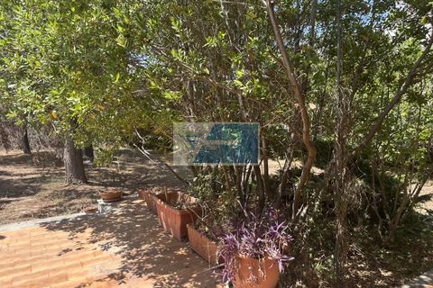 Villa i Noto, Siracusa, Noto - € 220.000 | Ref: NT VCAM 42 - foto 17