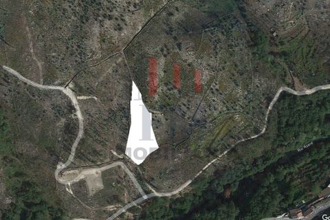 Helårsgrund i Arcos de Valdevez, Viana do Castelo, Arcos de Valdevez - € 14.900 | Ref: FM1102 - foto 1