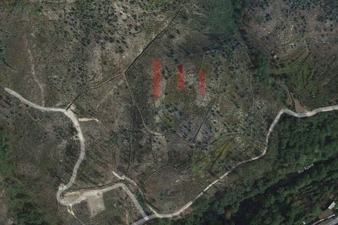 Helårsgrund i Arcos de Valdevez, Viana do Castelo, Arcos de Valdevez - € 14.900 | Ref: FM1102 - foto 2