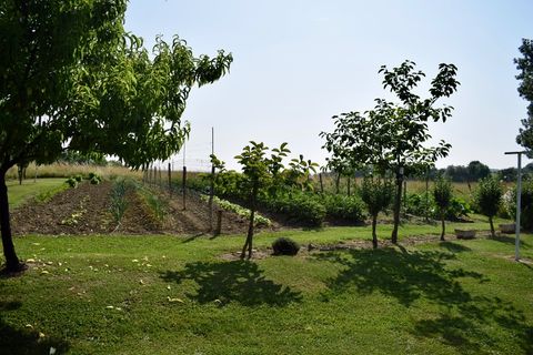 Farm hus i Lougratte, Lot-et-Garonne, Lougratte - € 268.000 | Ref: 830031935824 - foto 5