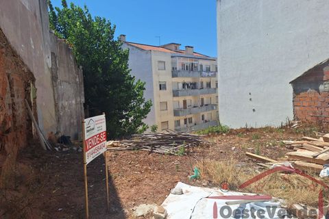 Helårsgrund i Cadaval, Lisbon, Cadaval - € 45.000 | Ref: 036-2025 - foto 4