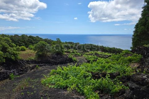 Helårsgrund i Sao Mateus, Graciosa, Sao Mateus - € 165.000 | Ref: AZ97666MK - foto 2