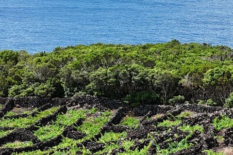 Helårsgrund i Sao Mateus, Graciosa, Sao Mateus - € 165.000 | Ref: AZ97666MK - foto 3