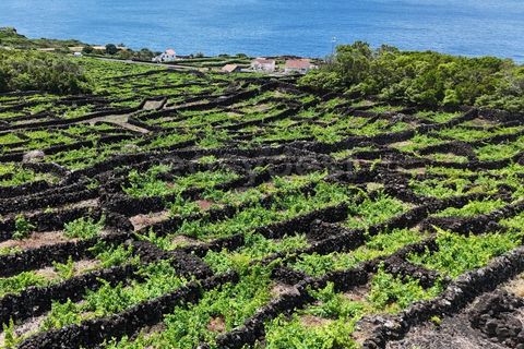 Helårsgrund i Sao Mateus, Graciosa, Sao Mateus - € 165.000 | Ref: AZ97666MK - foto 4