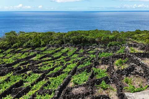 Helårsgrund i Sao Mateus, Graciosa, Sao Mateus - € 165.000 | Ref: AZ97666MK - foto 9