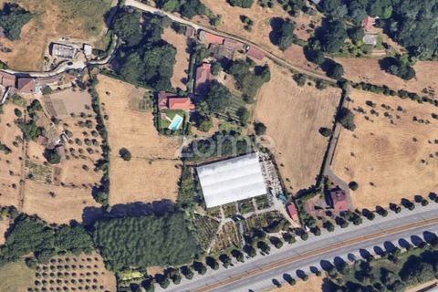 Helårsgrund i Viseu, Viseu, Viseu - € 3.800.000 | Ref: ZMPT579237 - foto 7