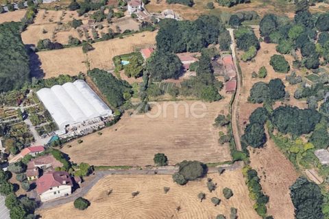 Helårsgrund i Viseu, Viseu, Viseu - € 3.800.000 | Ref: ZMPT579237 - foto 8