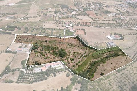 Helårsgrund i Cartaxo, Santarem, Cartaxo - € 650.000 | Ref: TER_141 - foto 1