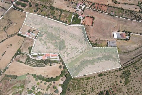 Helårsgrund i Cartaxo, Santarem, Cartaxo - € 650.000 | Ref: TER_141 - foto 2