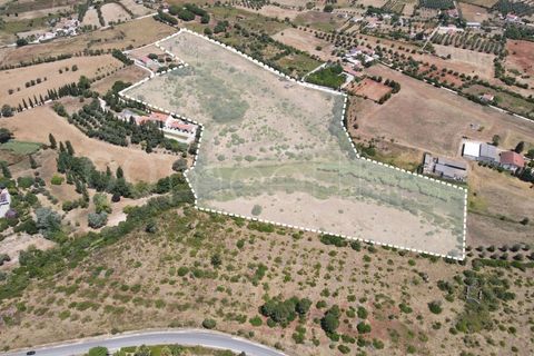 Helårsgrund i Cartaxo, Santarem, Cartaxo - € 650.000 | Ref: TER_141 - foto 3