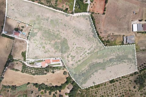 Helårsgrund i Cartaxo, Santarem, Cartaxo - € 650.000 | Ref: TER_141 - foto 4