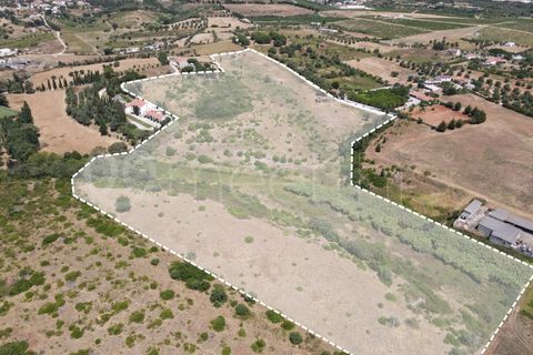 Helårsgrund i Cartaxo, Santarem, Cartaxo - € 650.000 | Ref: TER_141 - foto 5