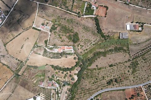 Helårsgrund i Cartaxo, Santarem, Cartaxo - € 650.000 | Ref: TER_141 - foto 6