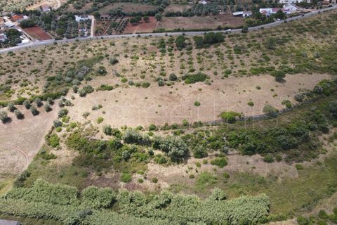 Helårsgrund i Cartaxo, Santarem, Cartaxo - € 650.000 | Ref: TER_141 - foto 7