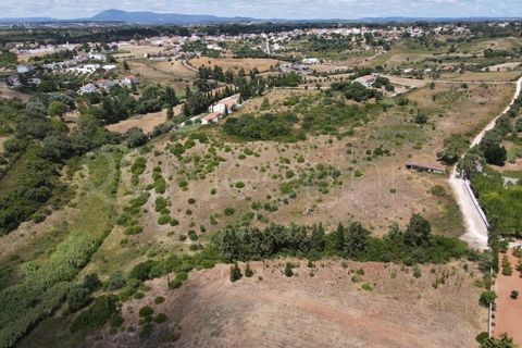Helårsgrund i Cartaxo, Santarem, Cartaxo - € 650.000 | Ref: TER_141 - foto 9