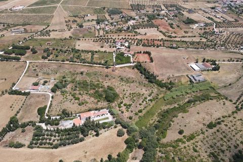 Helårsgrund i Cartaxo, Santarem, Cartaxo - € 650.000 | Ref: TER_141 - foto 10