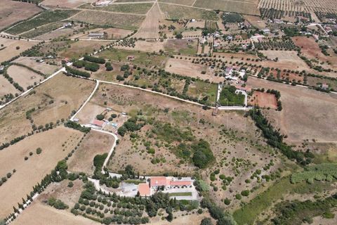 Helårsgrund i Cartaxo, Santarem, Cartaxo - € 650.000 | Ref: TER_141 - foto 11