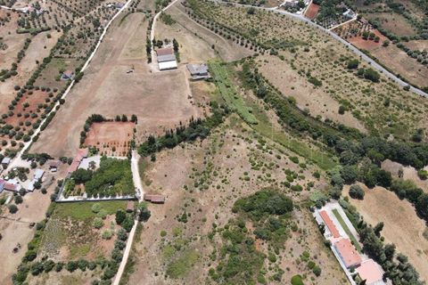 Helårsgrund i Cartaxo, Santarem, Cartaxo - € 650.000 | Ref: TER_141 - foto 12