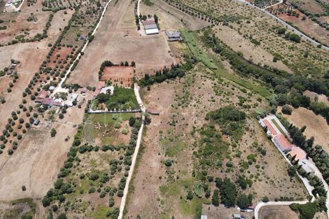 Helårsgrund i Cartaxo, Santarem, Cartaxo - € 650.000 | Ref: TER_141 - foto 13