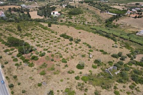 Helårsgrund i Cartaxo, Santarem, Cartaxo - € 650.000 | Ref: TER_141 - foto 14