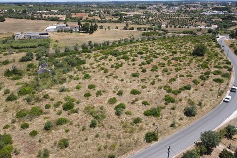 Helårsgrund i Cartaxo, Santarem, Cartaxo - € 650.000 | Ref: TER_141 - foto 15