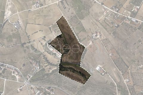 Helårsgrund i Cartaxo, Santarem, Cartaxo - € 650.000 | Ref: TER_141 - foto 16