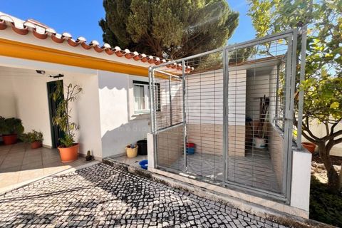 Villa a Entroncamento, Santarem, Entroncamento - € 450.000 | Ref: TM89054 - foto 30