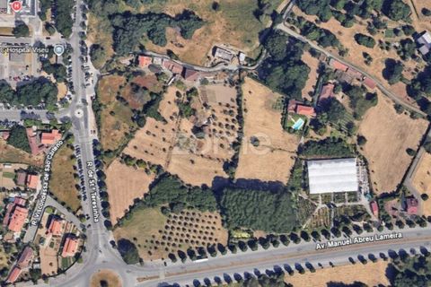 Helårsgrund i Viseu, Viseu, Viseu - € 6.583.000 | Ref: ZMPT579242 - foto 1
