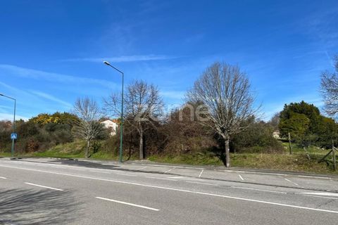 Helårsgrund i Viseu, Viseu, Viseu - € 6.583.000 | Ref: ZMPT579242 - foto 2