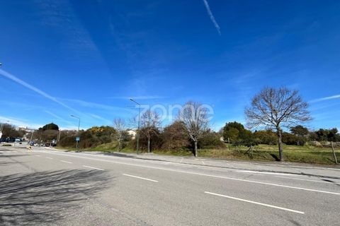 Helårsgrund i Viseu, Viseu, Viseu - € 6.583.000 | Ref: ZMPT579242 - foto 3