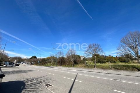 Helårsgrund i Viseu, Viseu, Viseu - € 6.583.000 | Ref: ZMPT579242 - foto 4