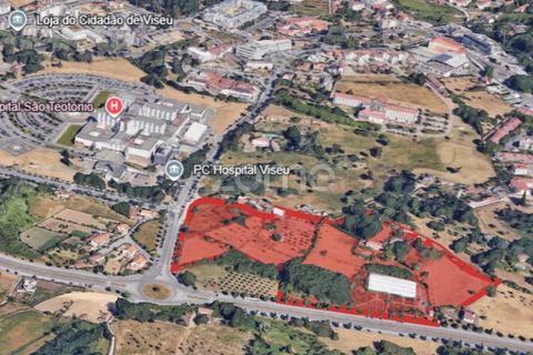 Helårsgrund i Viseu, Viseu, Viseu - € 6.583.000 | Ref: ZMPT579242 - foto 8