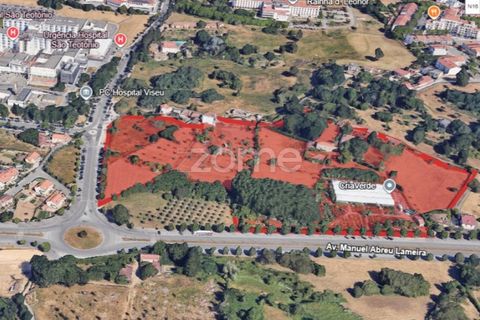 Helårsgrund i Viseu, Viseu, Viseu - € 6.583.000 | Ref: ZMPT579242 - foto 10