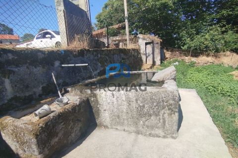 Villa i Resende, Viseu, Resende - € 57.500 | Ref: PROMAG#229 - foto 7