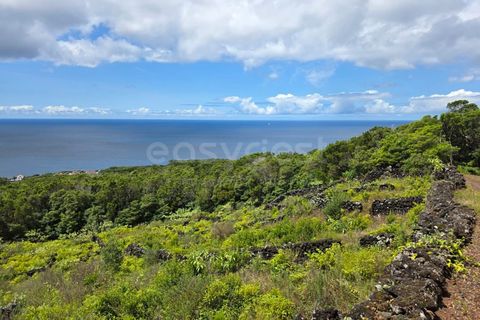 Helårsgrund i Sao Mateus, Graciosa, Sao Mateus - € 90.000 | Ref: AZ97665MK - foto 2