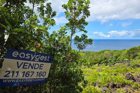 Helårsgrund i Sao Mateus, Graciosa, Sao Mateus - € 90.000 | Ref: AZ97665MK - foto 3