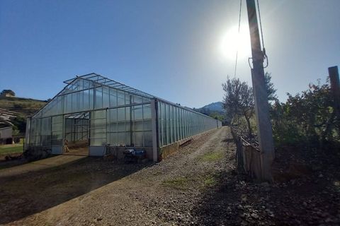 Tomt i Ozieri, Sassari, Ozieri - € 270 000 | Ref: 201-55 - foto 2