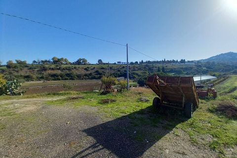 Tomt i Ozieri, Sassari, Ozieri - € 270 000 | Ref: 201-55 - foto 12