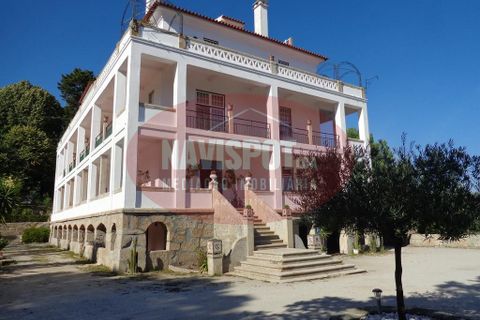 Landejendom i Mangualde, Viseu, Mangualde - € 1.600.000 | Ref: NVSPT0023/2023 - foto 4