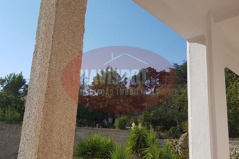 Landejendom i Mangualde, Viseu, Mangualde - € 1.600.000 | Ref: NVSPT0023/2023 - foto 15