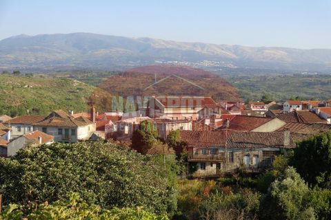Landejendom i Mangualde, Viseu, Mangualde - € 1.600.000 | Ref: NVSPT0023/2023 - foto 16