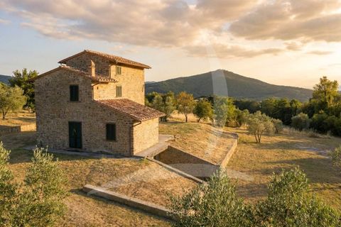 Farm hus i Cortona, Arezzo, Cortona - € 680.000 | Ref: a1190rc94115 - foto 13