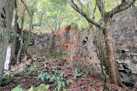 Terra a Velas, Sao Jorge, Velas - € 50.000 | Ref: T1012 - foto 6
